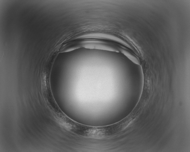 X0000084550117200702231216