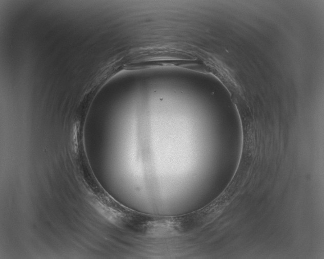 X0000084550118200702231216