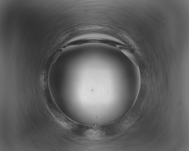 X0000084550119200702231216
