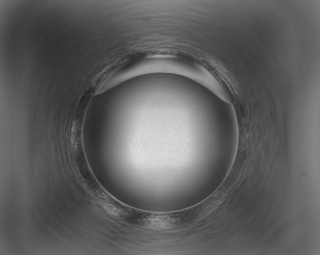 X0000084550121200702231215