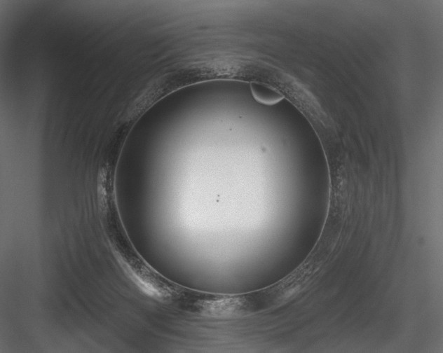 X0000084550122200702231215