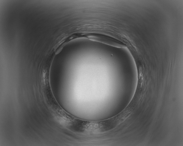 X0000084550123200702231215