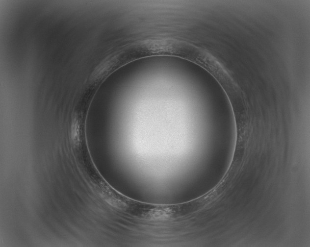 X0000084550124200702231215