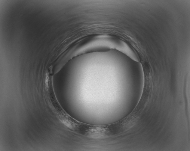 X0000084550125200702231215
