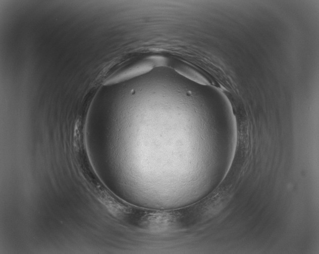 X0000084550127200702231215
