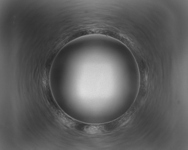 X0000084550129200702231215