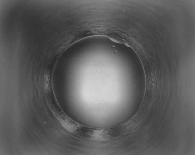 X0000084550130200702231215