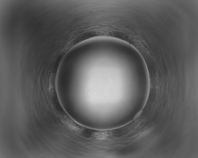 X0000084550131200702231215