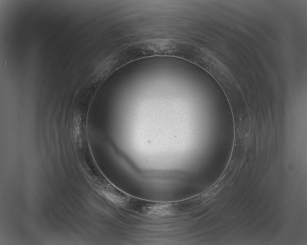 X0000084550132200702231215
