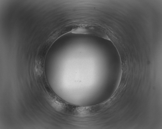 X0000084550136200702231215