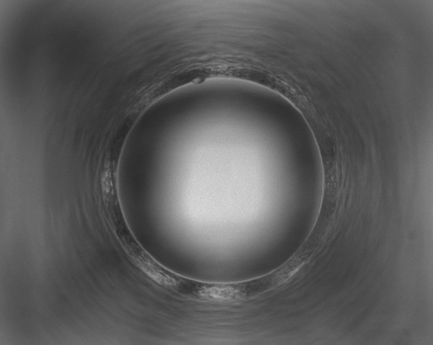 X0000084550137200702231215
