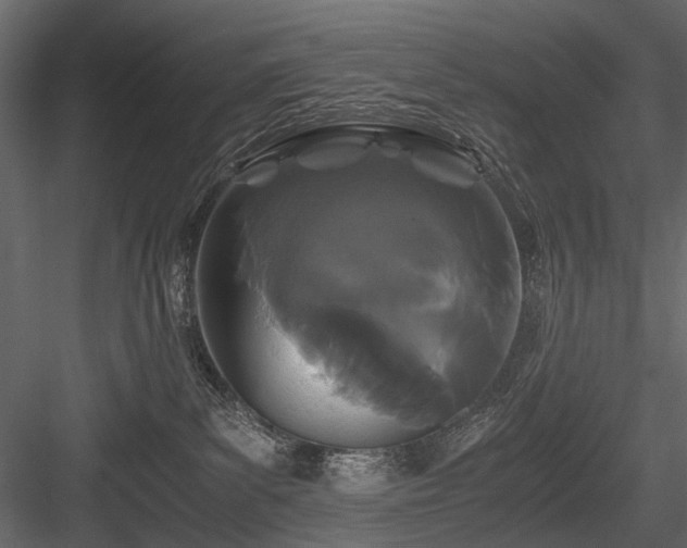 X0000084550139200702231215