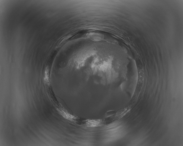 X0000084550143200702231215