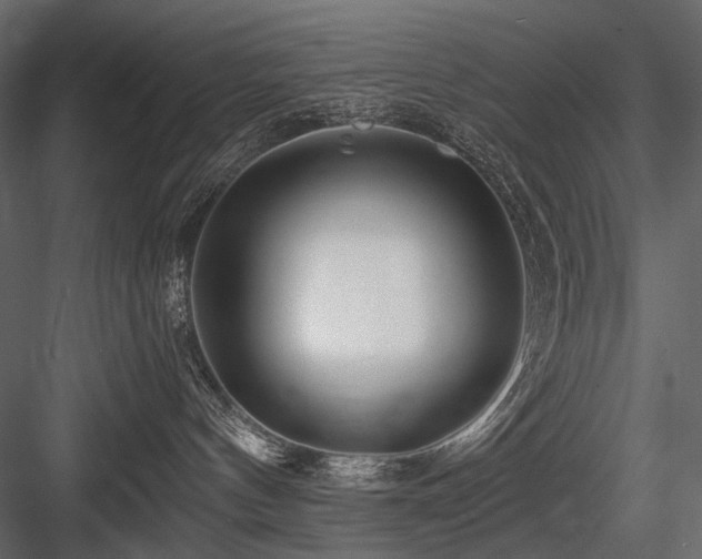 X0000084550144200702231215
