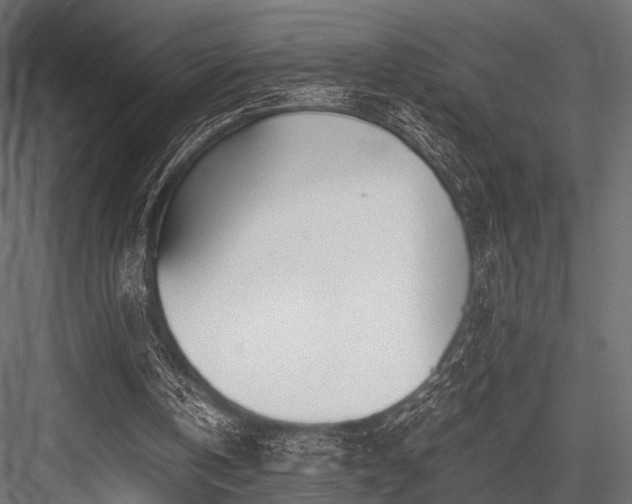 X0000084550146200702231214
