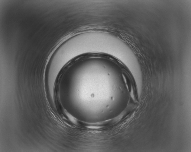 X0000084550148200702231214