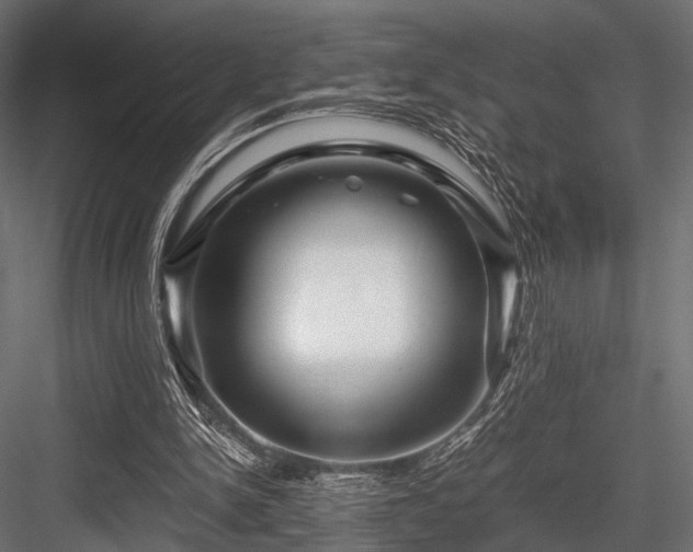 X0000084550150200702231214