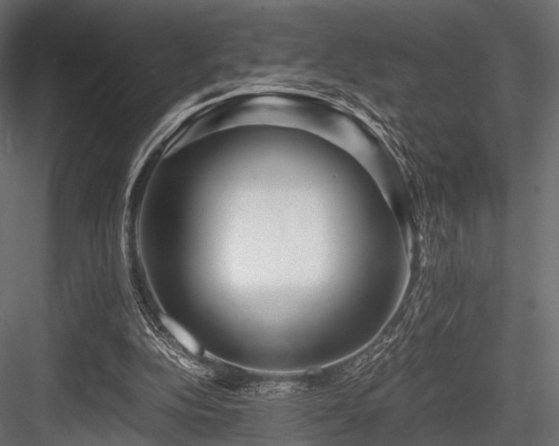 X0000084550152200702231214
