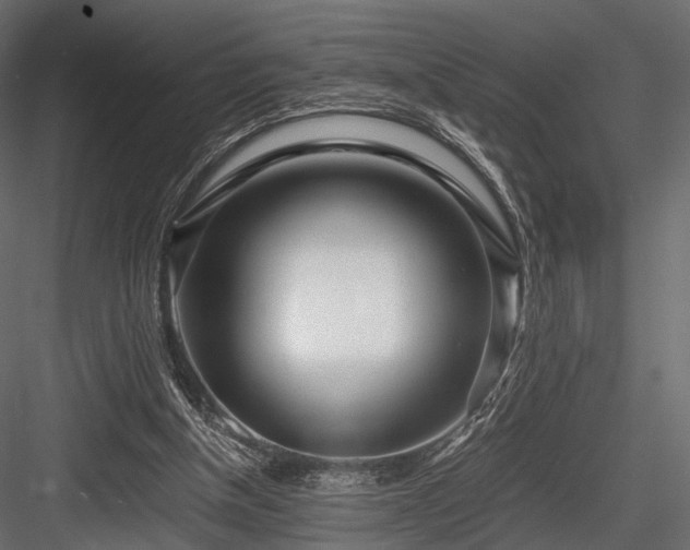 X0000084550154200702231214