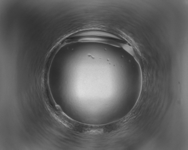 X0000084550155200702231214