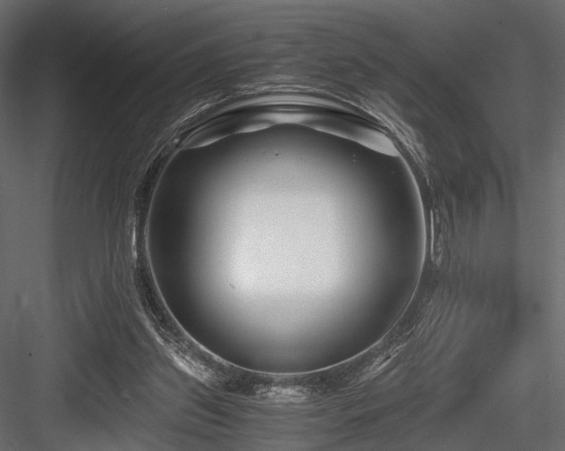 X0000084550157200702231214