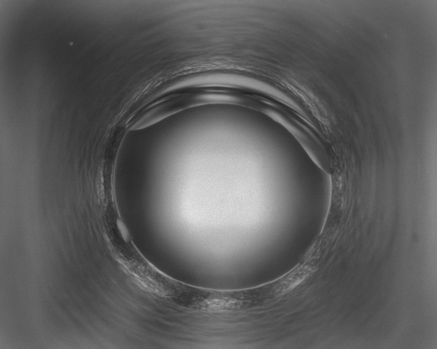 X0000084550158200702231214