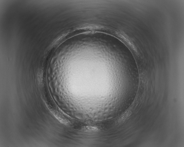 X0000084550159200702231214