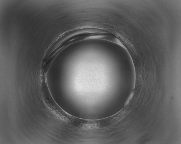 X0000084550160200702231215