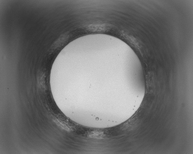 X0000084550162200702231215