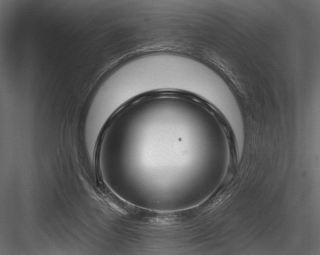 X0000084550164200702231215