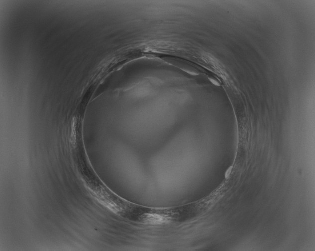 X0000084550167200702231215