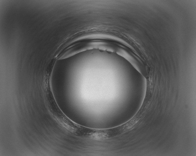 X0000084550168200702231215