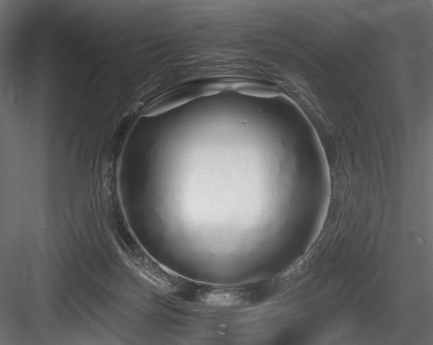 X0000084550171200702231215