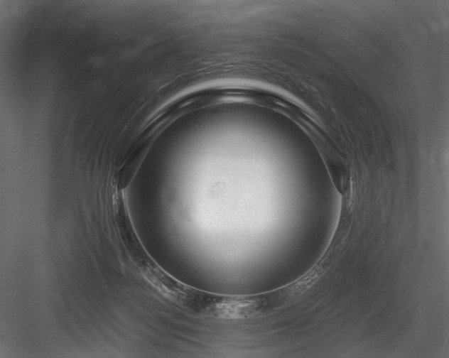 X0000084550172200702231215