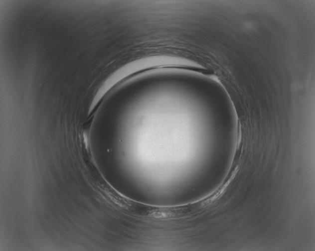 X0000084550174200702231215