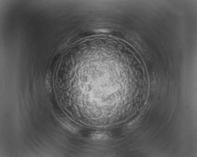 X0000084550175200702231215