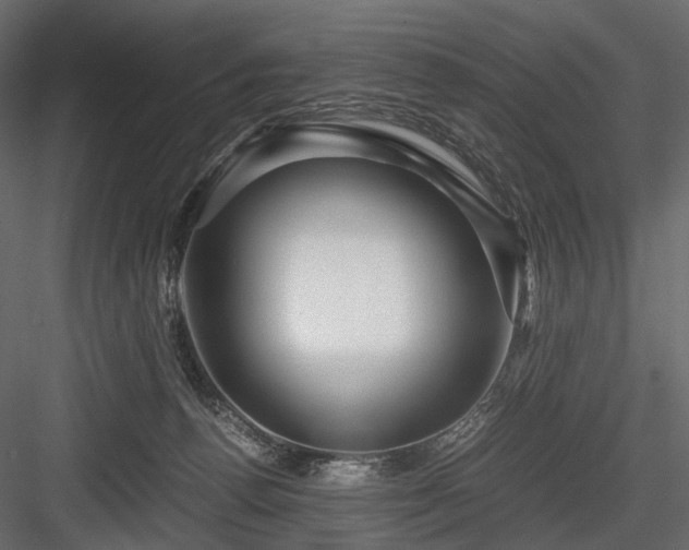X0000084550176200702231215