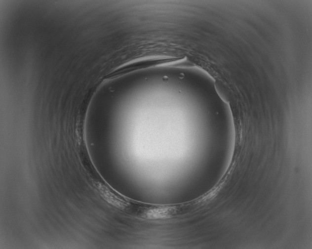 X0000084550178200702231215