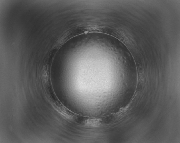X0000084550179200702231215
