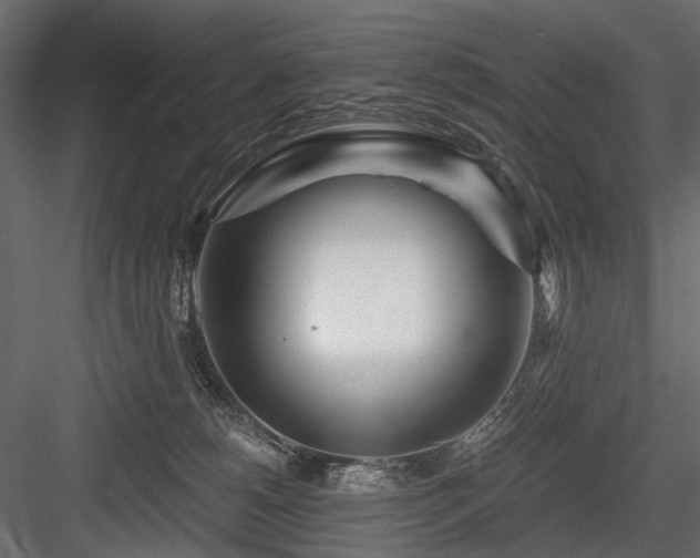 X0000084550180200702231215