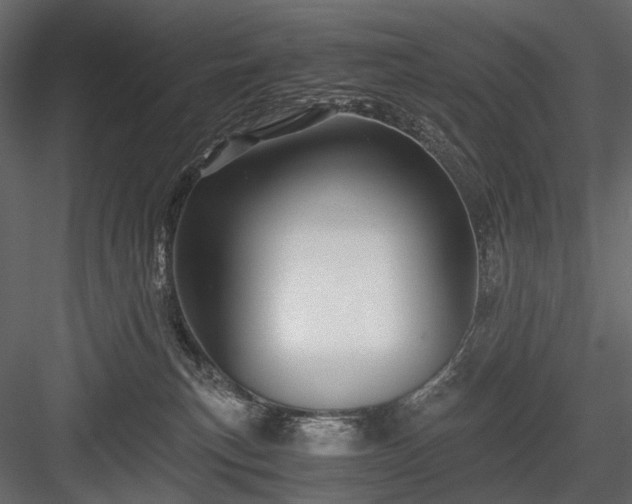 X0000084550183200702231215