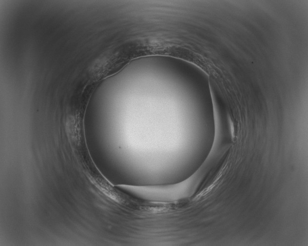 X0000084550184200702231215