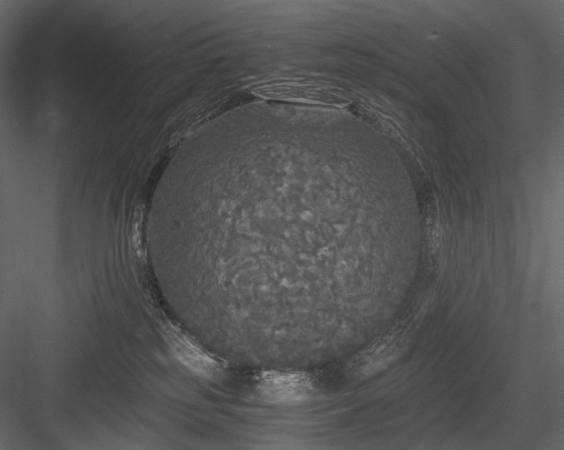 X0000084550185200702231215