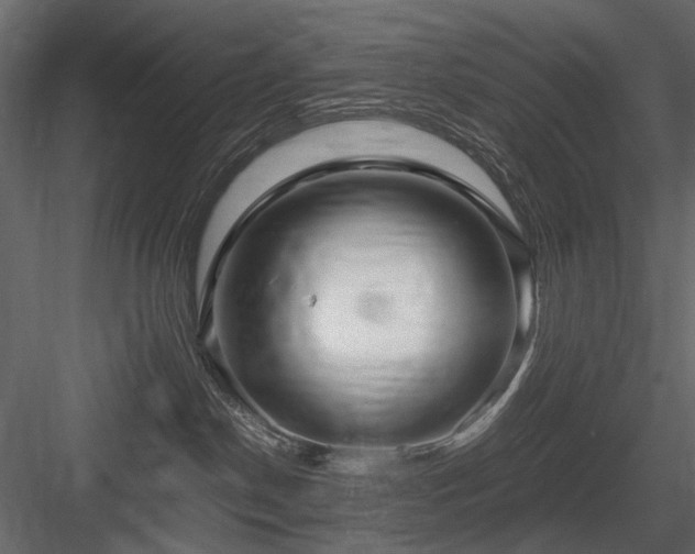 X0000084550190200702231215