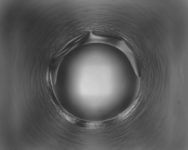 X0000084550192200702231215