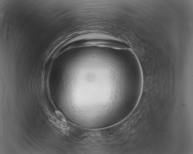 X0000084550194200702231214