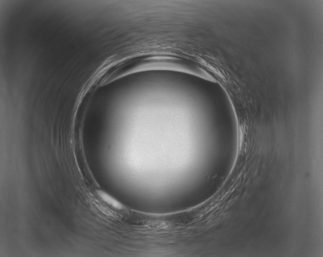 X0000084550195200702231214