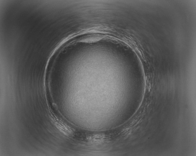 X0000084550196200702231214