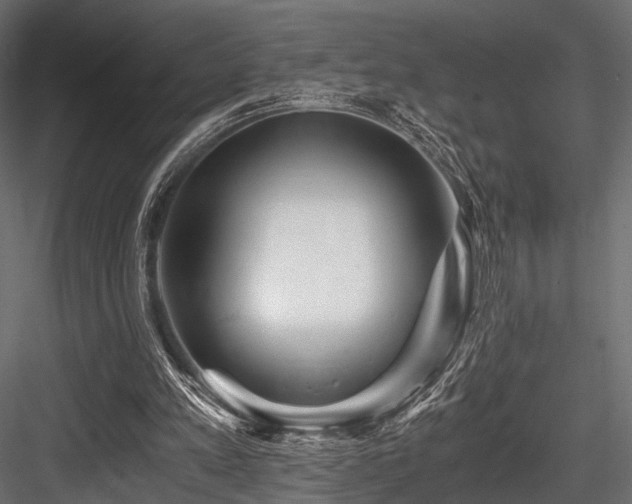 X0000084550197200702231214