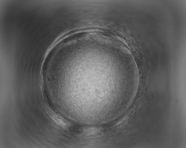 X0000084550198200702231214